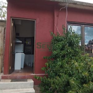 Alquiler De Apartamento En Barrio Cantegril, Monoambiente, Baño, Patio..