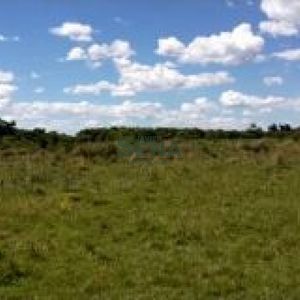 Venta De Lote En Punta Ballena, Para Vivir Todo El Año Cerca Del Mar.