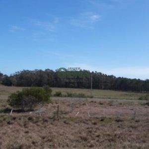 Venta De Chacra En Cabo Polonio, 10 Hectareas Sobre Ruta 10, A Metros Del Mar.