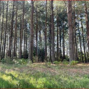 Venta De Lote En Las Grutas, 1000m2 De Tierra, Precioso Lugar.