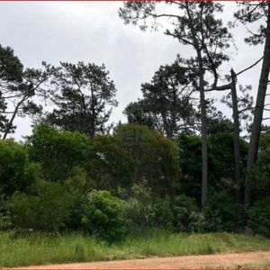 Venta De Terreno En Ocean Par, 1004m2 De Tierra Cerca Del Mar, Arbolados.