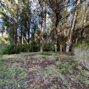 Venta De Tierra En Parque Burnet, 3050m2 De Terreno Para Construir En P.h.