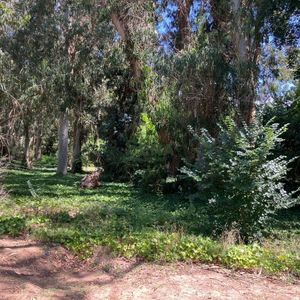 Venta De Terreno En Pedragosa Sierra, Excelente Ubicacion, Complejo Edilicio.