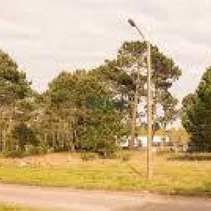 Venta De Terrenos En Beverly Hils, 1000m2 En Excelente Ubicacion.