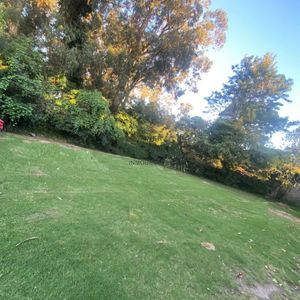 Venta De Casa En El Golf, De 6 Dormitorios, 3 Baños Con 1200 M2 De Terreno