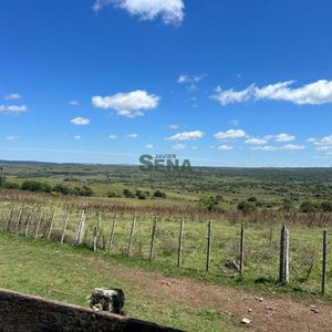 Venta De Estancia En Lavalleja, De 1661 Hectareas Con Instalaciones Completa