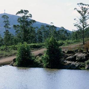 Venta De Chacra En Piriápolis 49 Hectareas Con Vista Al Cerro Y A La Bahía.