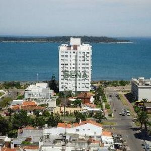 Venta Y Alquiler Brava, 1 Dormitorio Y Medio,  Baño, Terraza, Buena Vista, Piscina..