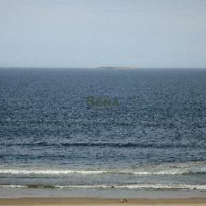 Venta Y Alquiler En La Brava, 1 Dormitorio, Baño, Linda Vista Y Servicios.