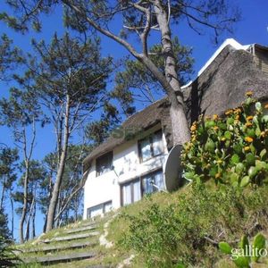 Venta Y Alquiler En La Mansa, Casa De 4 Dormitorios, Parada 46 Linda Cabaña Para Descansar.