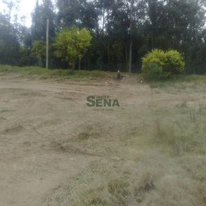 Parque Burnett, Muy Lindo Terreno.