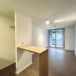 Alquiler Apartamento 1 Dormitorio Con Terraza