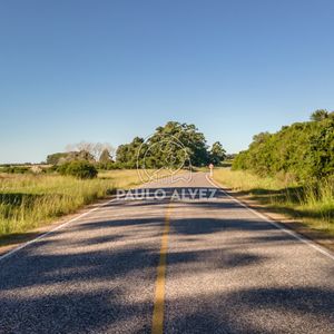 Oportunidad De Inversión