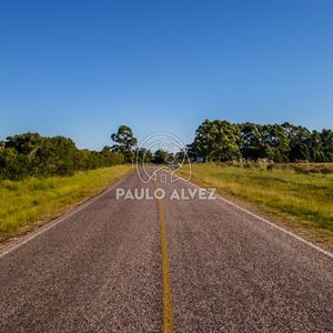 Oportunidad De Inversión