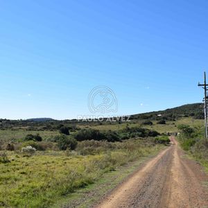 La Tranquilidad Y La Vista Predominan