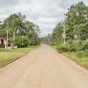 En El Corazón De Punta Colorada