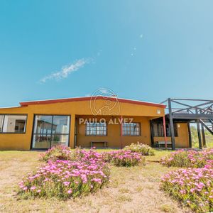 La Casita Amarilla (902)