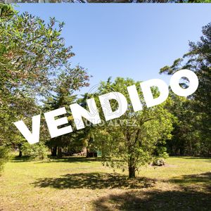 Te1507- Terreno En Bella Vista, A Metros De La Playa, Zona En Constante Crecimiento, Ideal Para Comenzar Tu Proyecto De Vida