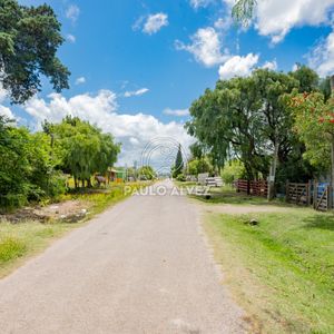 Te1595- Terreno En Pan De Azucar, Ubicado En El Km110- Lugar Tranquilo E Ideal Para Vivir Todo El Año