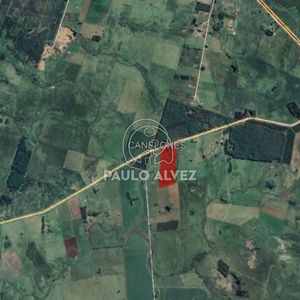 Oportunidad De Inversión