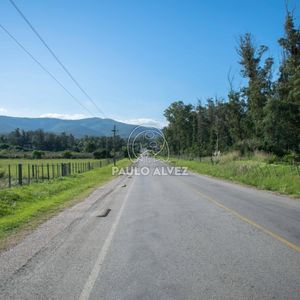 Un Lugar único
