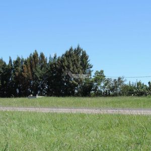 Venta Terreno Melilla Ruta 5 Y Ruta 102 (perimetral) 75928m2  Salida A 2 Calles