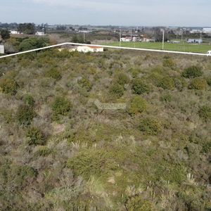 Venta Terreno Melilla Camino Fauquet Y Ruta 5 (37001m Con Casa+apto+galpon)