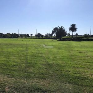 Venta Terreno Melilla El Mejor Para Logística Mts. Unidad Agroalimentaria Metropolitana 37.112 M2