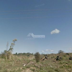 Venta Terreno Pando Camino Bertolotti Prox. Ruta 8 Y 101...12há 6666mts
