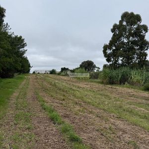 Venta Terreno Melilla Camino De Los Orientales Y Luis Batlle Berres 132.125m2 Proximo Uam