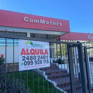 Alquiler Local Comercial Galpon Deposito Avenida Italia Frente Plaza Italia Shopping Estacionamiento