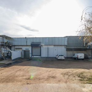 Venta Local Galpon Deposito Planta Industrial Melilla La Redencion Y Ruta 5 Camaras De Frio