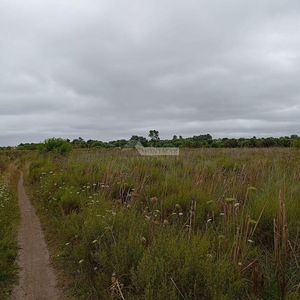 Venta Terreno Barros Blancos 8691m2 Entre Ruta 101 Y Ruta 8
