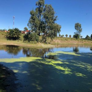 Venta Terreno Manga Camino El Cordero 36980m2 A Mts. Camino Pedro De Mendoza E Instrucciones
