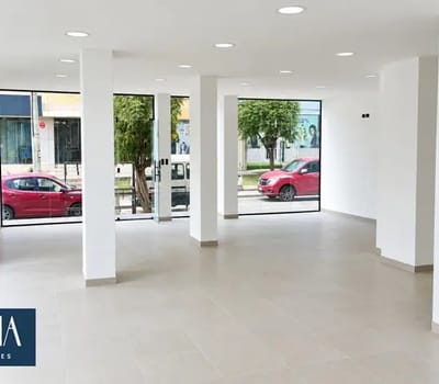 Local Comercial En Alquiler En San Miguel