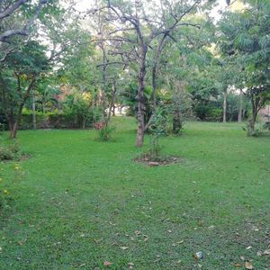 Quinta En Pailon 8 Hectareas En Venta