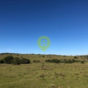 Ubicado En La Zona "la Centinela", Próximo A Los Talas Y Velázquez.