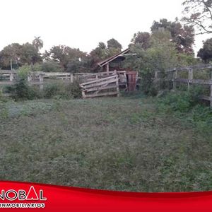 Vendo 80 Hectáreas A 10 Minutos De Cotoca