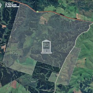 Campo Forestal En Rocha, A 25 Km De Castillos.