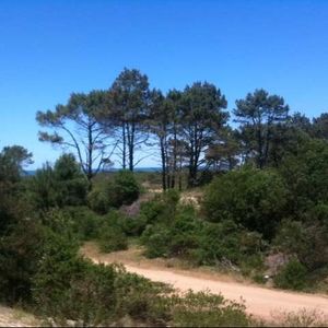 Gran Oportunidad: Terreno Amplio Cerca Del Mar
