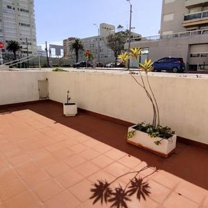Apartamento En Alquiler Temporada  Zona Península (península) Ref. 4886