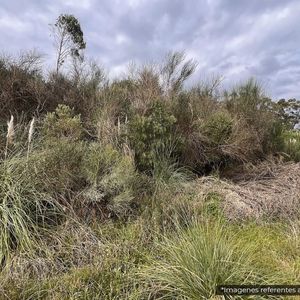 Terreno En Piriápolis (barra De Portezuelo) Ref. 6093