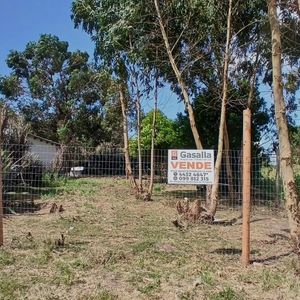 Terreno En Punta Del Este (balneario Buenos Aires) Ref.7304