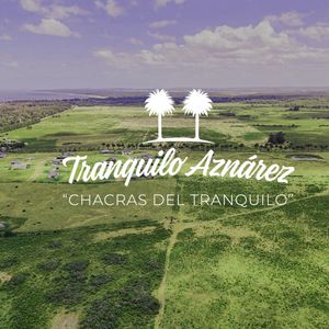 "chacras Del Tranquilo" (bella Vista) Ref. 7396