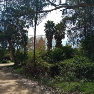 Venta De Terreno Arbolado En El Tesoro 1879 M2