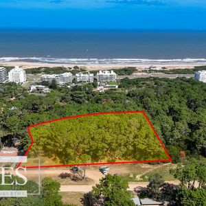 Venta Lote De 8000m2 Para Altura- Rincón Del Indio