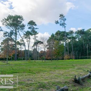 Lotes En Venta En Barrio Cerrado- Punta Del Este