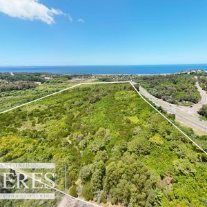 Terreno En Venta 22has- Punta Ballena