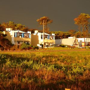 Apartamento En Venta Y Alquiler 4 Dormitorios