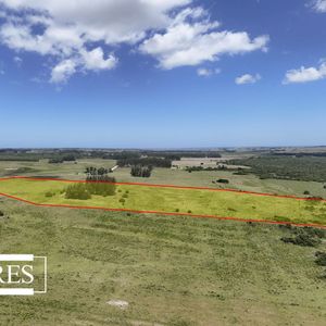 Campo En Garzon 19has
